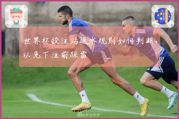世界杯投注站返水规则如何判断，以免下注前踩雷