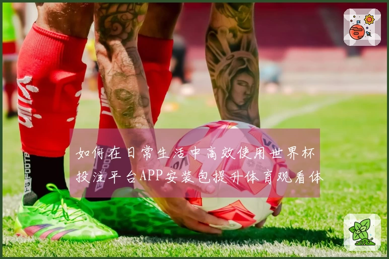 如何在日常生活中高效使用世界杯投注平台APP安装包提升体育观看体验