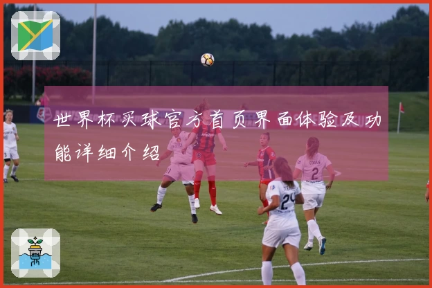 世界杯买球官方首页界面体验及功能详细介绍