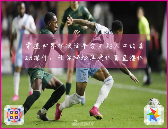掌握世界杯投注平台主站入口的基础操作，让你轻松享受体育直播体验