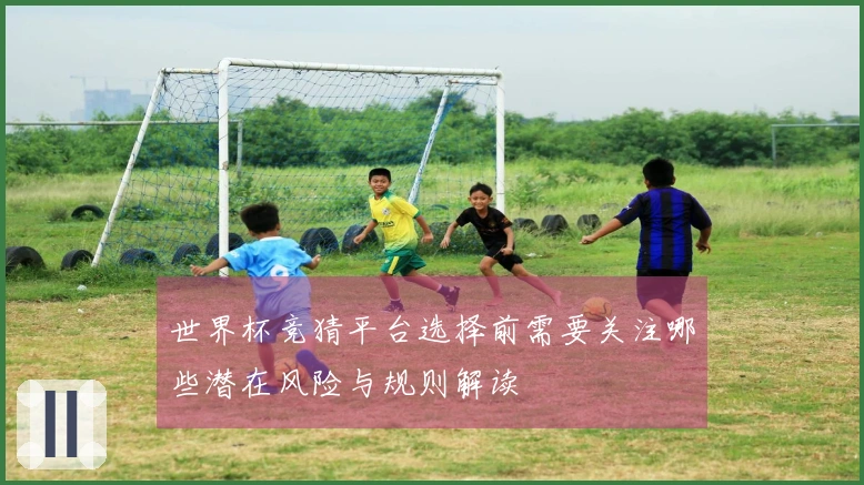 世界杯竞猜平台选择前需要关注哪些潜在风险与规则解读