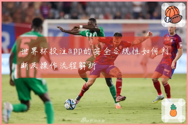 世界杯投注app的安全合规性如何判断及操作流程解析