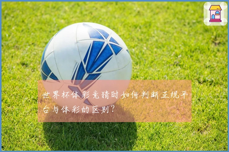 世界杯体彩竞猜时如何判断正规平台与体彩的区别？