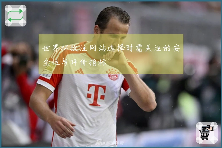 世界杯投注网站选择时需关注的安全性与评价指标