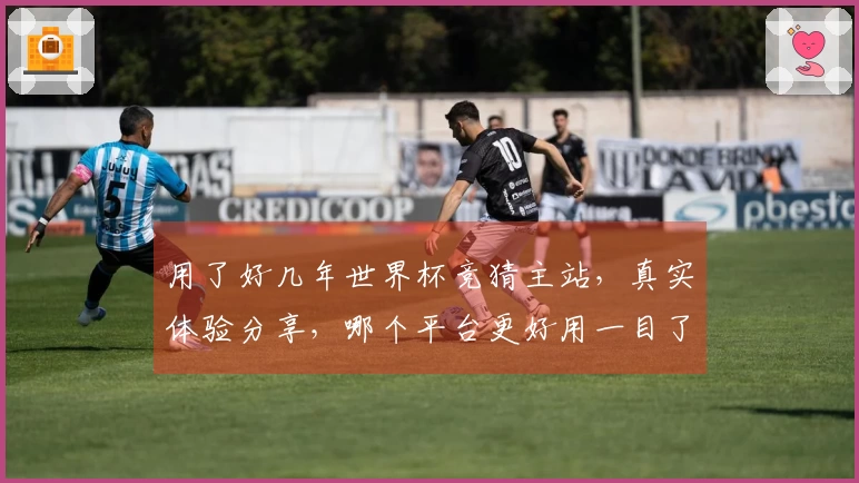 用了好几年世界杯竞猜主站，真实体验分享，哪个平台更好用一目了然