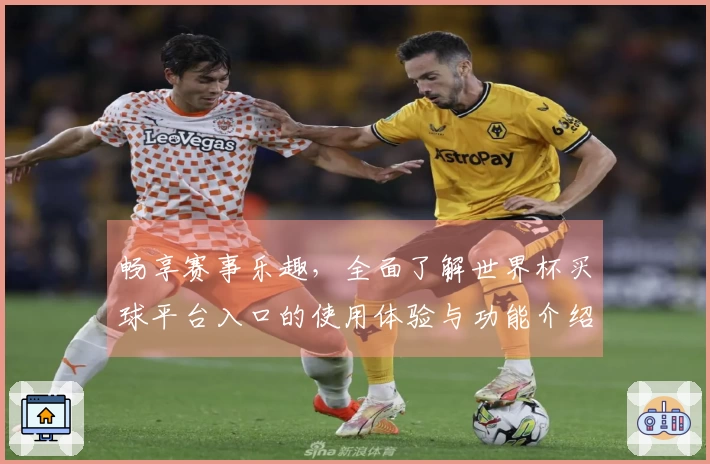 畅享赛事乐趣，全面了解世界杯买球平台入口的使用体验与功能介绍