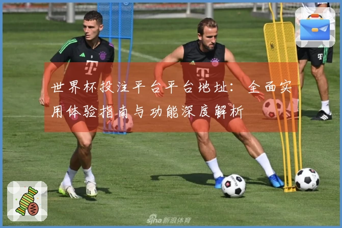 世界杯投注平台平台地址：全面实用体验指南与功能深度解析
