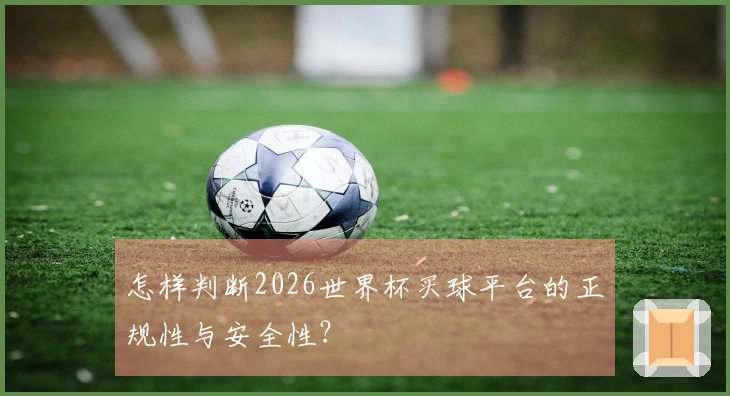 怎样判断2026世界杯买球平台的正规性与安全性？