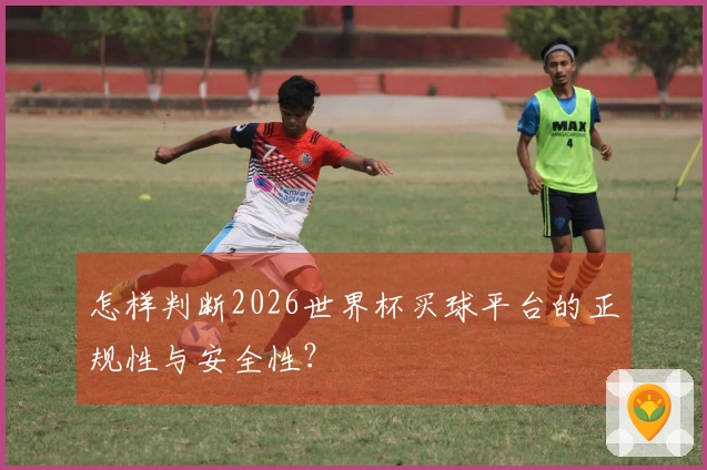 怎样判断2026世界杯买球平台的正规性与安全性？