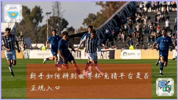 新手如何辨别世界杯竞猜平台是否正规入口