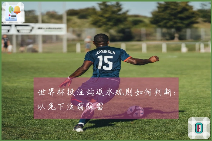 世界杯投注站返水规则如何判断，以免下注前踩雷