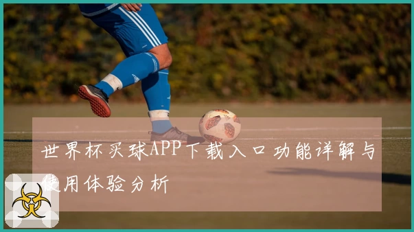 世界杯买球APP下载入口功能详解与使用体验分析