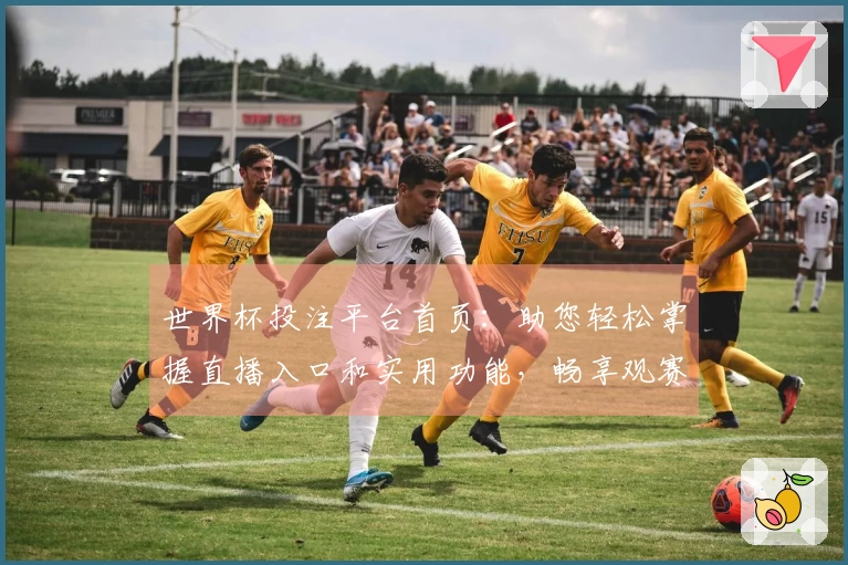 世界杯投注平台首页:助您轻松掌握直播入口和实用功能,畅享观赛新体验