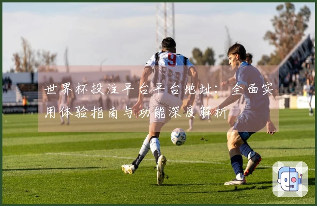 世界杯投注平台平台地址：全面实用体验指南与功能深度解析