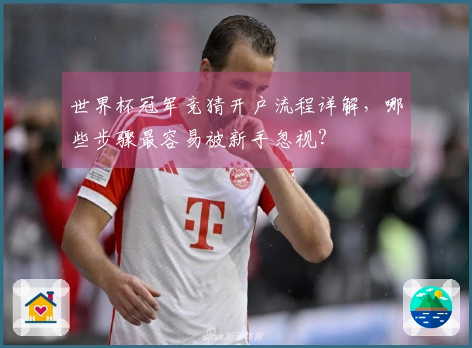 世界杯冠军竞猜开户流程详解，哪些步骤最容易被新手忽视？