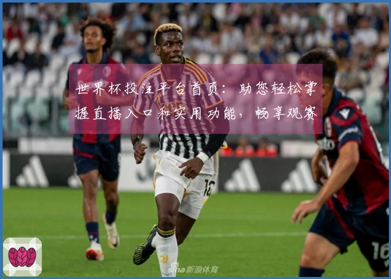世界杯投注平台首页：助您轻松掌握直播入口和实用功能，畅享观赛新体验