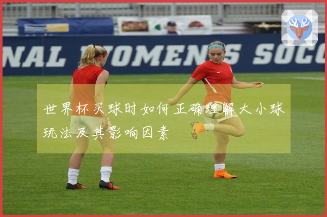 世界杯买球时如何正确理解大小球玩法及其影响因素