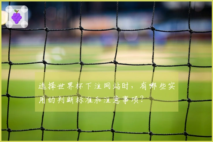 选择世界杯下注网站时，有哪些实用的判断标准和注意事项？