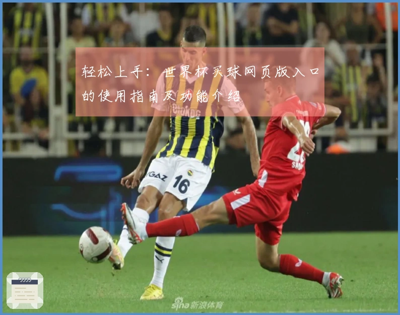 轻松上手：世界杯买球网页版入口的使用指南及功能介绍