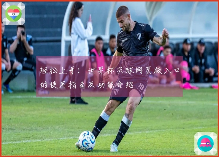 轻松上手:世界杯买球网页版入口的使用指南及功能介绍