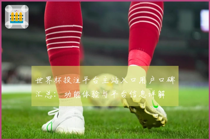 世界杯投注平台主站入口用户口碑汇总：功能体验与平台信息详解