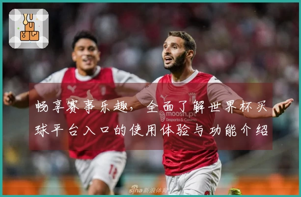 畅享赛事乐趣，全面了解世界杯买球平台入口的使用体验与功能介绍