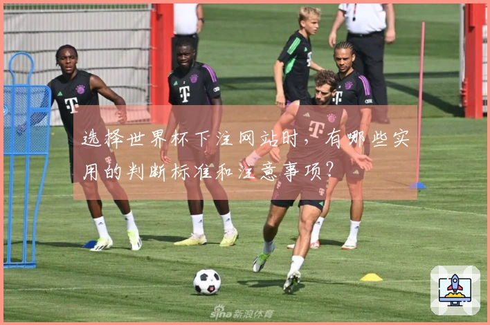 选择世界杯下注网站时，有哪些实用的判断标准和注意事项？