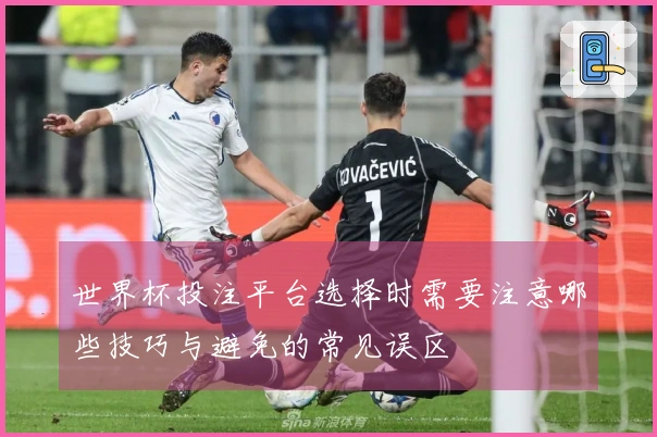 世界杯投注平台选择时需要注意哪些技巧与避免的常见误区