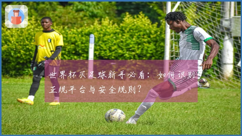 世界杯买足球新手必看：如何识别正规平台与安全规则？