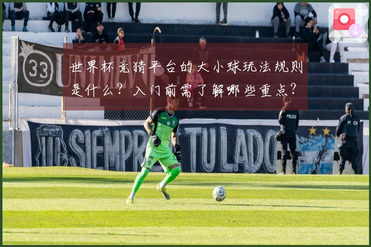 世界杯竞猜平台的大小球玩法规则是什么？入门前需了解哪些重点？