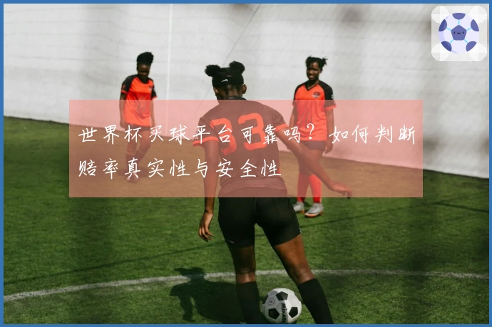 世界杯买球平台可靠吗？如何判断赔率真实性与安全性